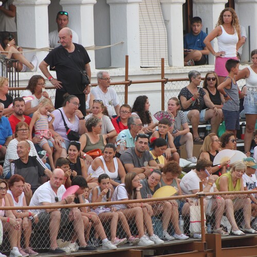 toros 16 agosto 2025 (44)